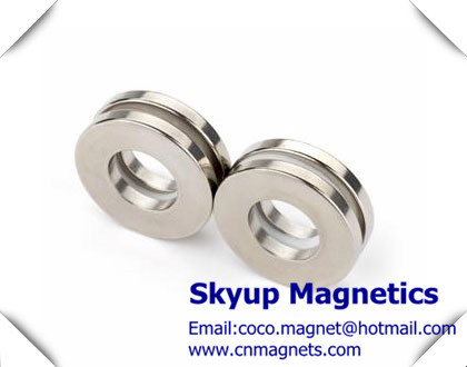 China Ring  rare earth NdFeB Magnets used in Electronics and small motors ,with ISO/TS certification fournisseur