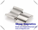 Arc motor magnets - rare earth NdFeB Magnets used in Electronics and small motors ,with ISO/TS certification fournisseur
